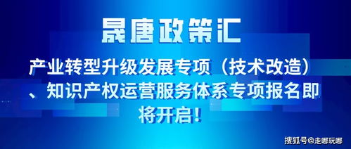 晟唐孵化器 產(chǎn)業(yè)轉(zhuǎn)型升級(jí)發(fā)展專項(xiàng) 知識(shí)產(chǎn)權(quán)運(yùn)營服務(wù)體系專項(xiàng)報(bào)名即將開始